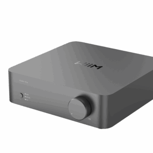 WiiM Vibelink Amp